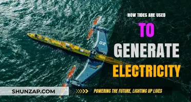 Harnessing the Ocean's Power: A Guide to Tidal Electricity Generation