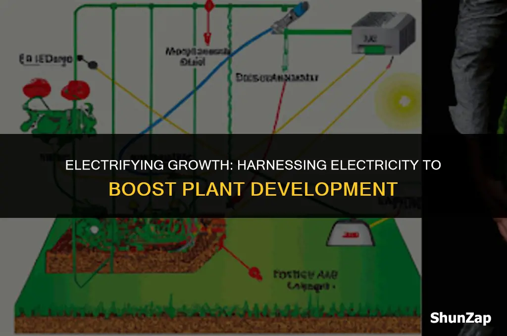 how to accelerate plant growth using electricity