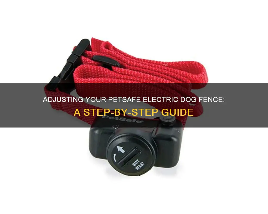 how to adjust petsafe electric dog fence