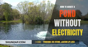 Aerating Your Pond: Natural, Electricity-Free Methods