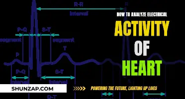 Understanding Heart's Electrical Activity: An In-Depth Guide