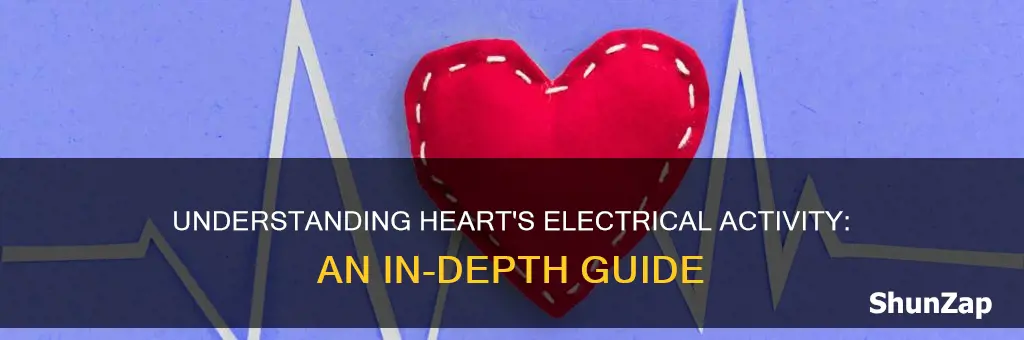 how to analyze electrical activity of heart