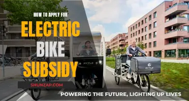 Electric Bike Subsidy: Application Process Simplified