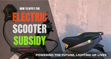 Get Your Electric Scooter Subsidy: A Step-by-Step Guide