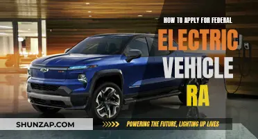 Federal Electric Vehicle Grants: Application Process Simplified