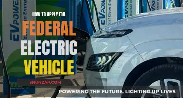 Federal Electric Vehicle Grants: Application Process Simplified