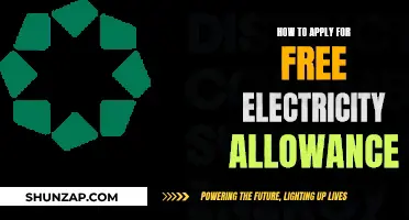 Claiming Free Electricity Allowance: A Simple Guide