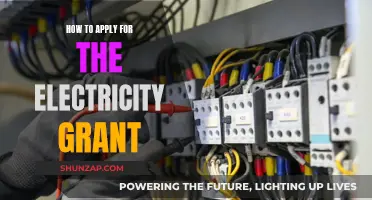 Electricity Grant: Application Process Simplified