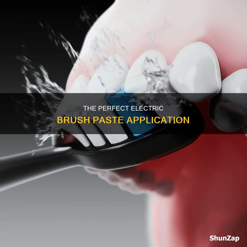 how to apply paste on electric brush