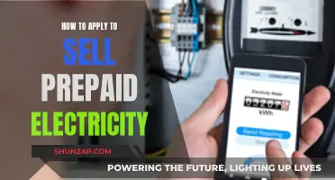 Selling Prepaid Electricity: Application Process Simplified