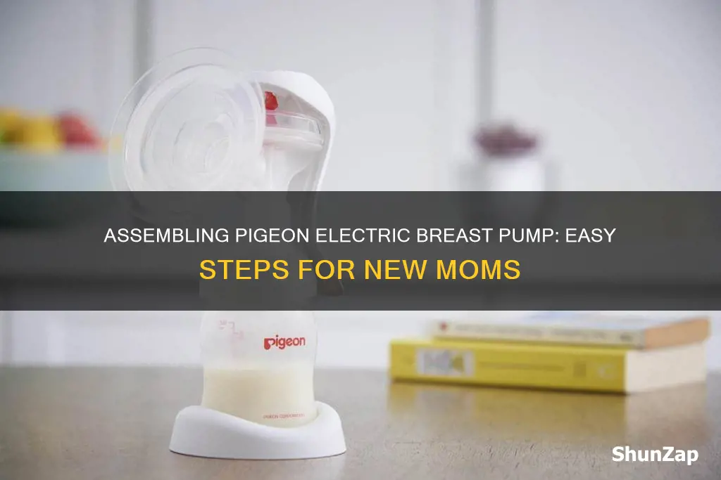 how to assemble pigeon electric breast pump