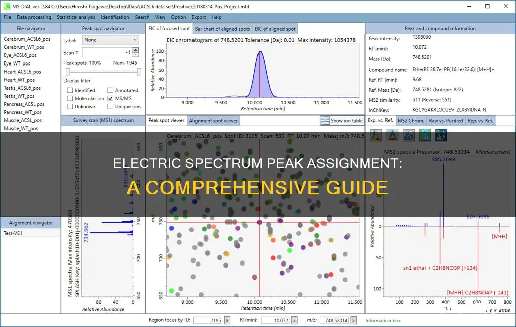 how to assign peaks on electric spectrum