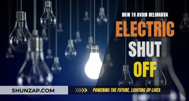 Prevent Delmarva Electric Shut Off: Tips to Keep Lights On