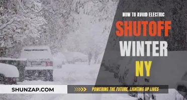 Winter Power Outages: Keeping the Lights On in NY