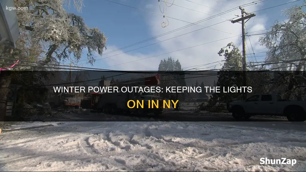 how to avoid electric shutoff winter ny