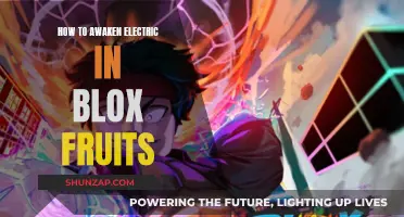 Unleashing Electric Powers in Blox Fruits: A Guide