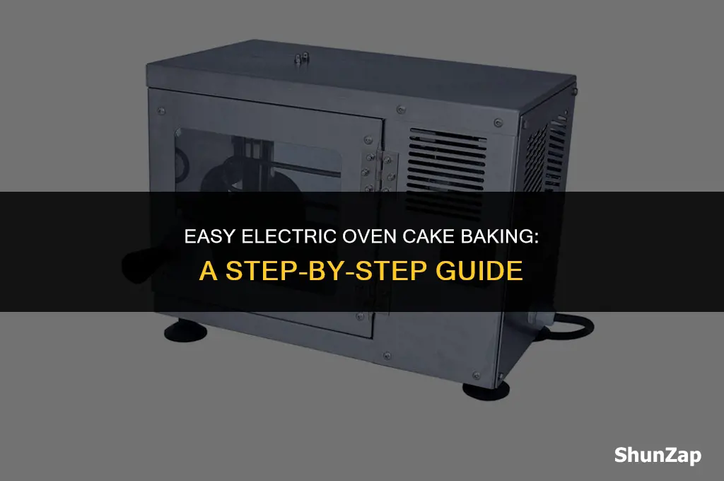 how to bake a cake using electric oven