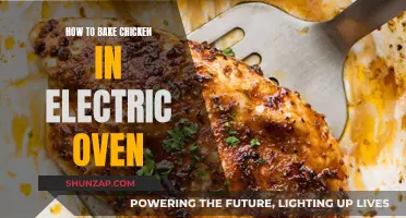 Baking Chicken in an Electric Oven: A Simple Guide