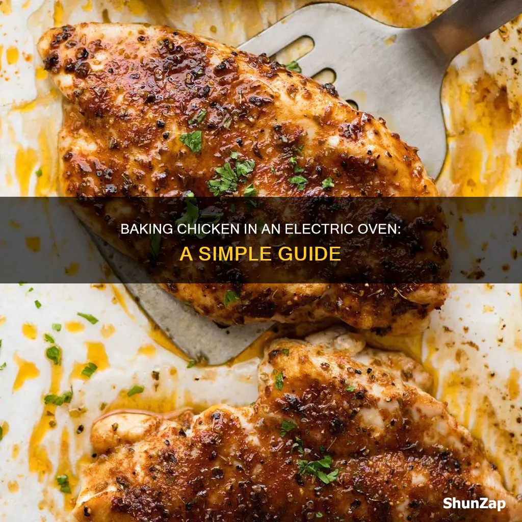 how to bake chicken in electric oven