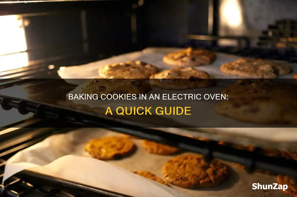 how to bake cookies in electric oven
