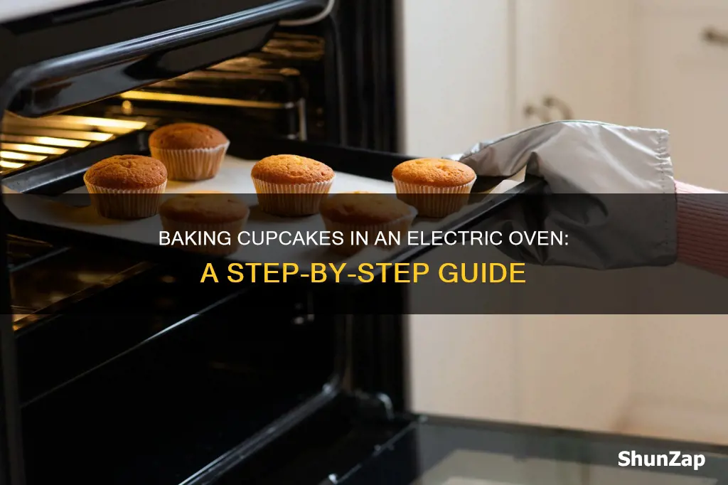 how to bake cupcakes in electric oven