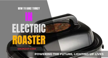 The Perfect Electric Roasted Turkey