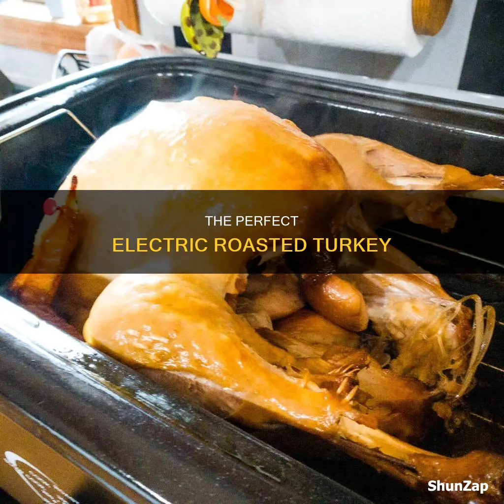 how to bake turkey in electric roaster