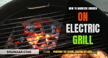 Mastering Chicken on the Electric Grill