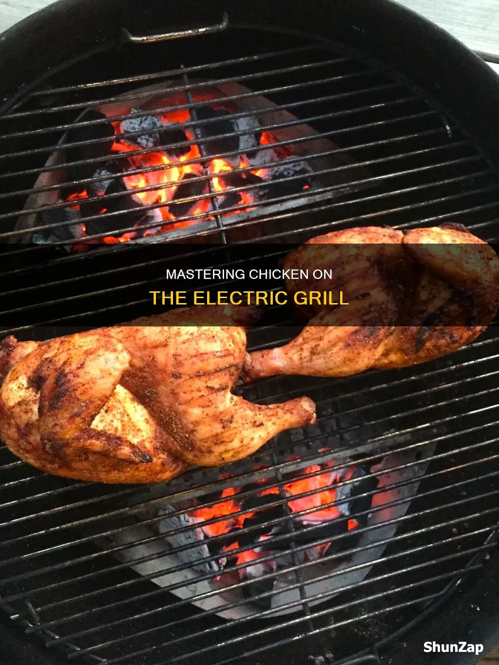how to barbecue chicken on electric grill