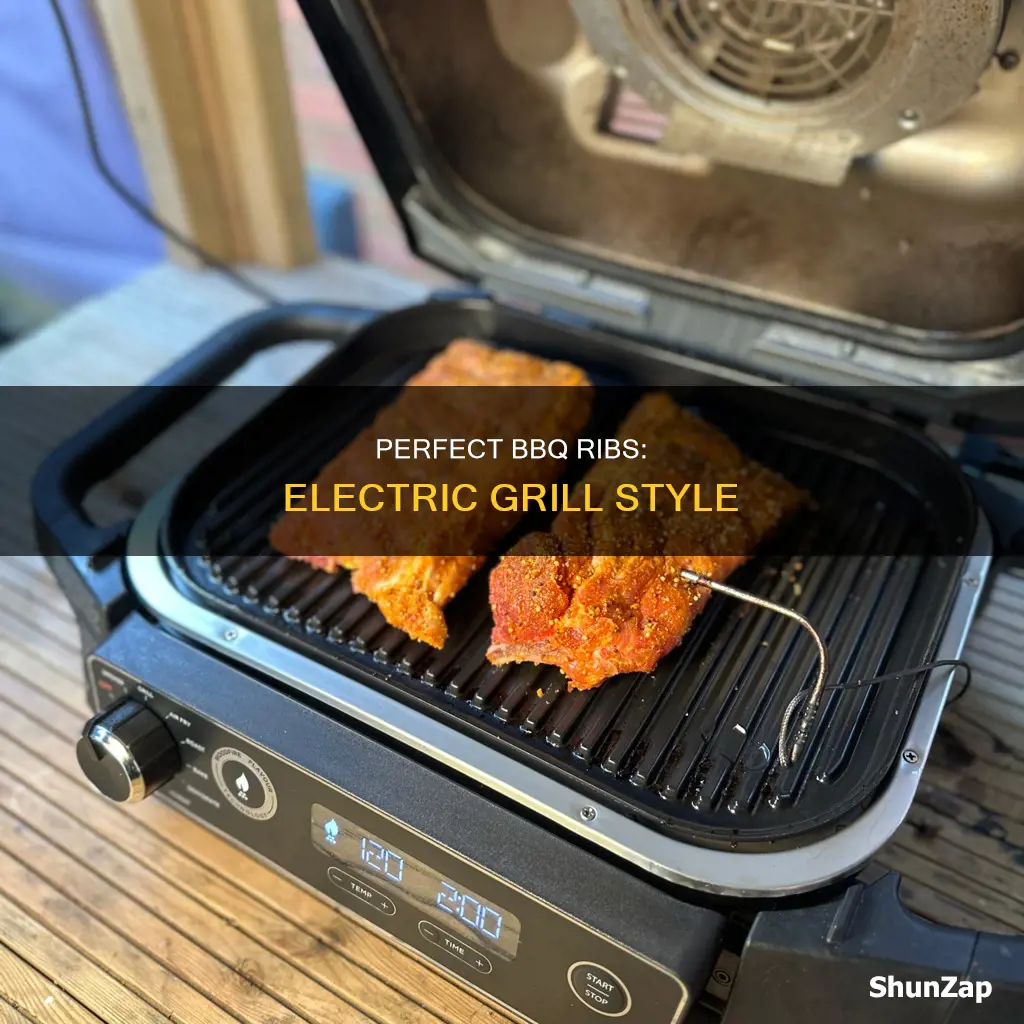 how to bbq ribs on electric grill
