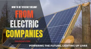 Breaking Free: Energy Independence from Electric Companies