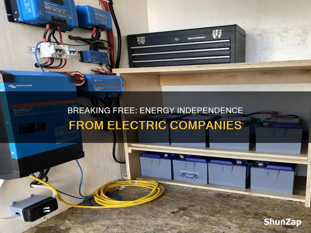 how to be totataly reliant from electric companies