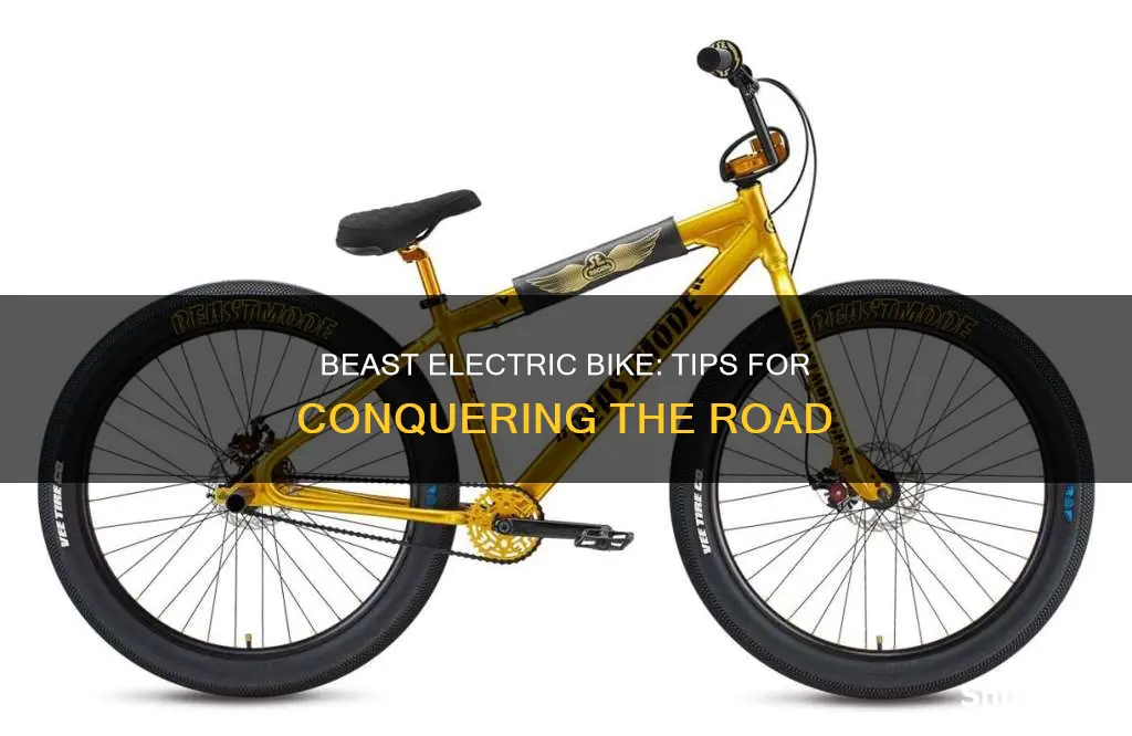 how to beast electric bike