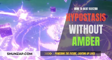 Electro Hypostasis: Beating it Without Amber