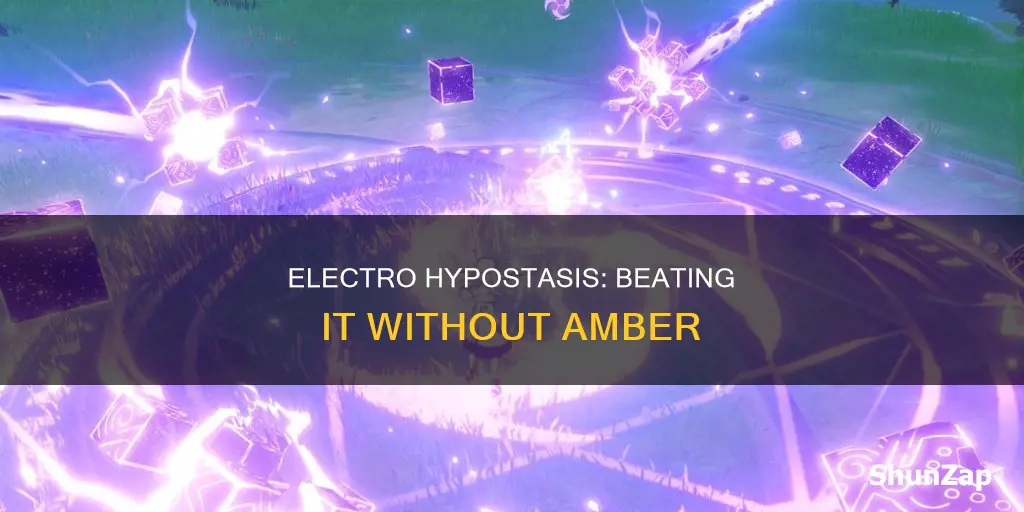 how to beat electro hypostasis without amber