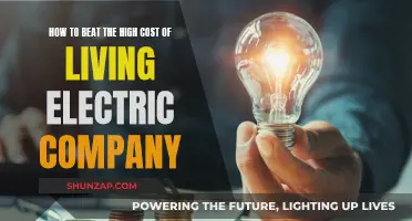 Beat High Electric Costs: Save Money, Save Energy