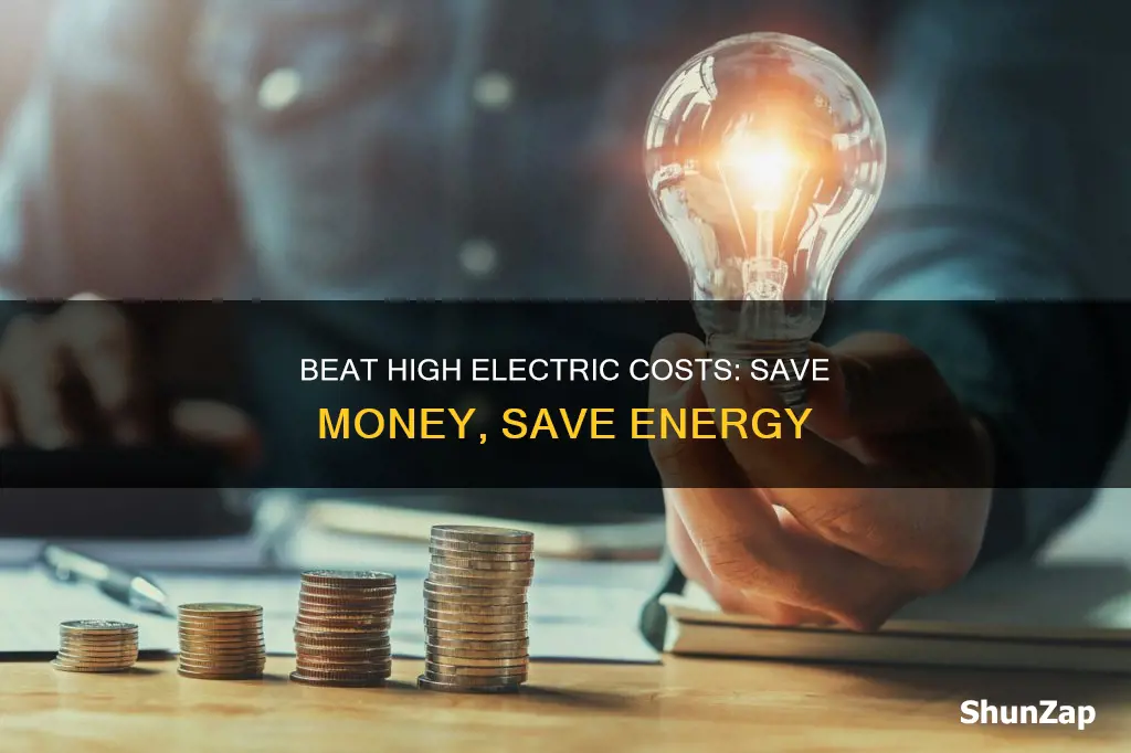 how to beat the high cost of living electric company