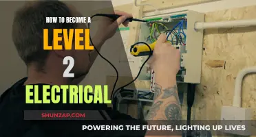 Becoming a Qualified Electrician: Level 2 Certification