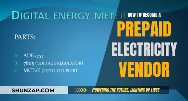 Becoming a Prepaid Electricity Vendor: A Profitable Business Venture