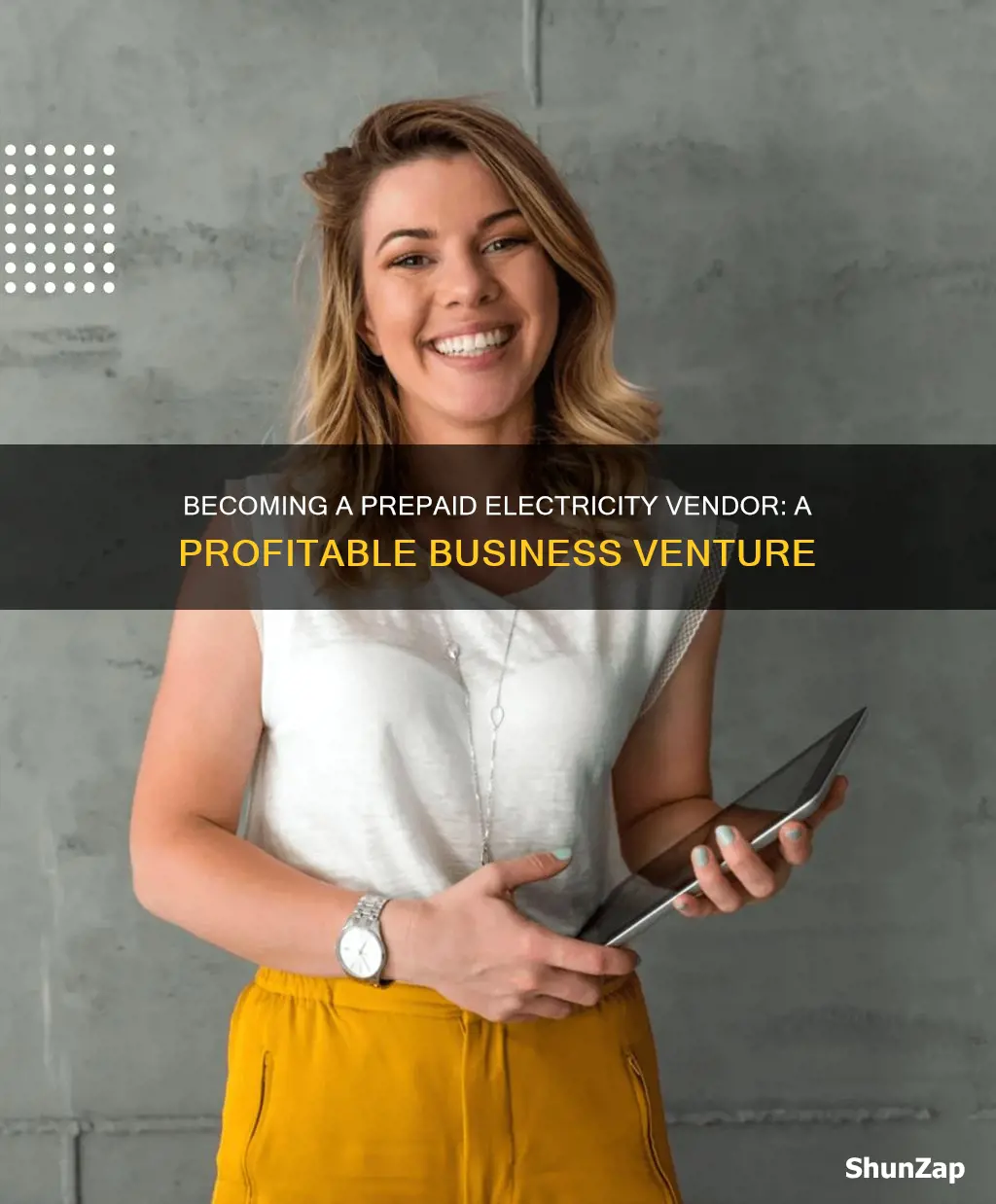 how to become a prepaid electricity vendor