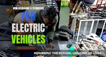 Unleash Your Tech Skills: A Guide to Electric Vehicle Technician Success