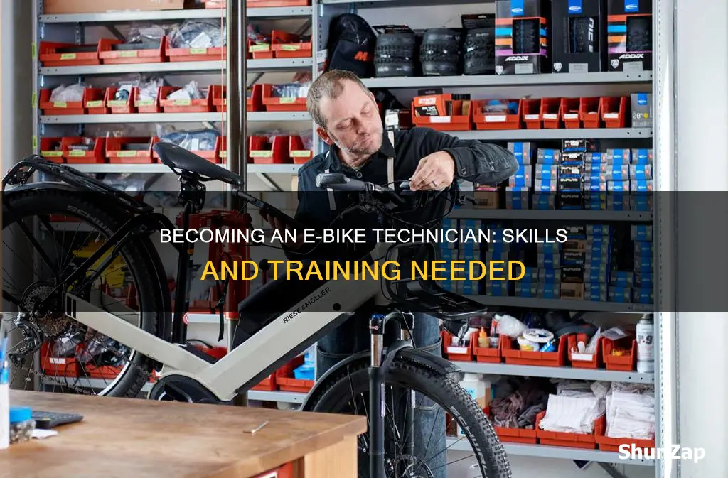 how to become an electric bike technician