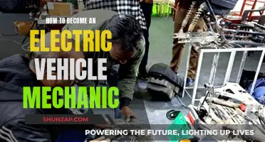 Becoming an Electric Vehicle Mechanic: Skills and Training Needed