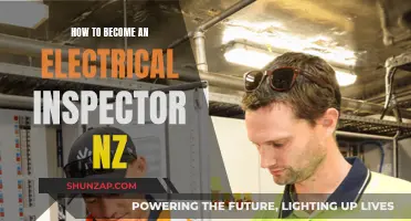 Electrical Inspector Career: Steps to Success in New Zealand