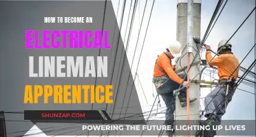 Becoming an Electrical Lineman: Apprenticeship Steps
