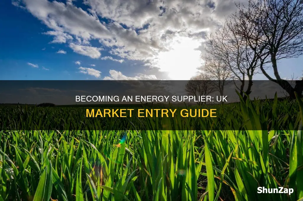 how to become an electricity supplier uk