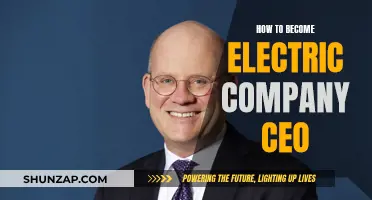 Becoming a CEO: Strategies for Rising to the Top in Energy
