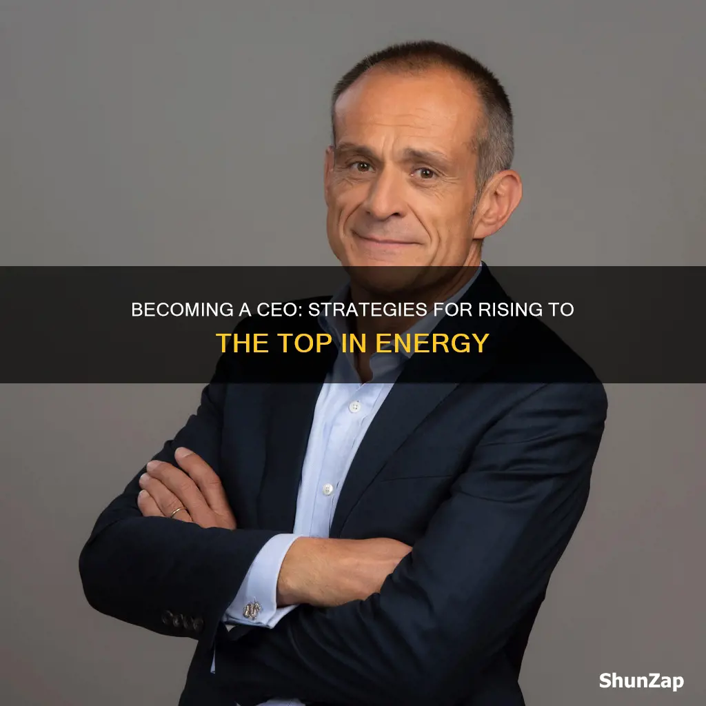 how to become electric company ceo