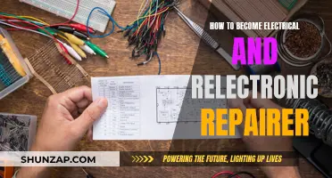 Becoming an Electrical & Electronic Repair Expert
