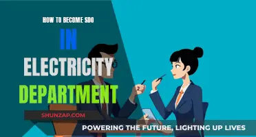 The Path to Becoming an SDO in the Electricity Department